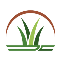 Charleston Artificial Grass Installation